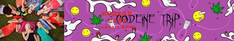 Кодеин Purple Drank  mega ТОР  Майкоп 