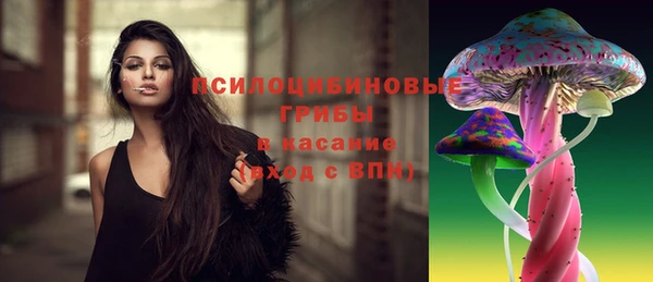 сатива Магас