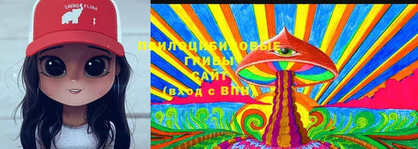 сатива Магас