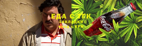 сатива Магас