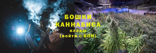 сатива Магас
