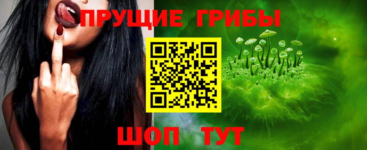 Псилоцибиновые грибы прущие грибы  Вход с VPN  Майкоп 